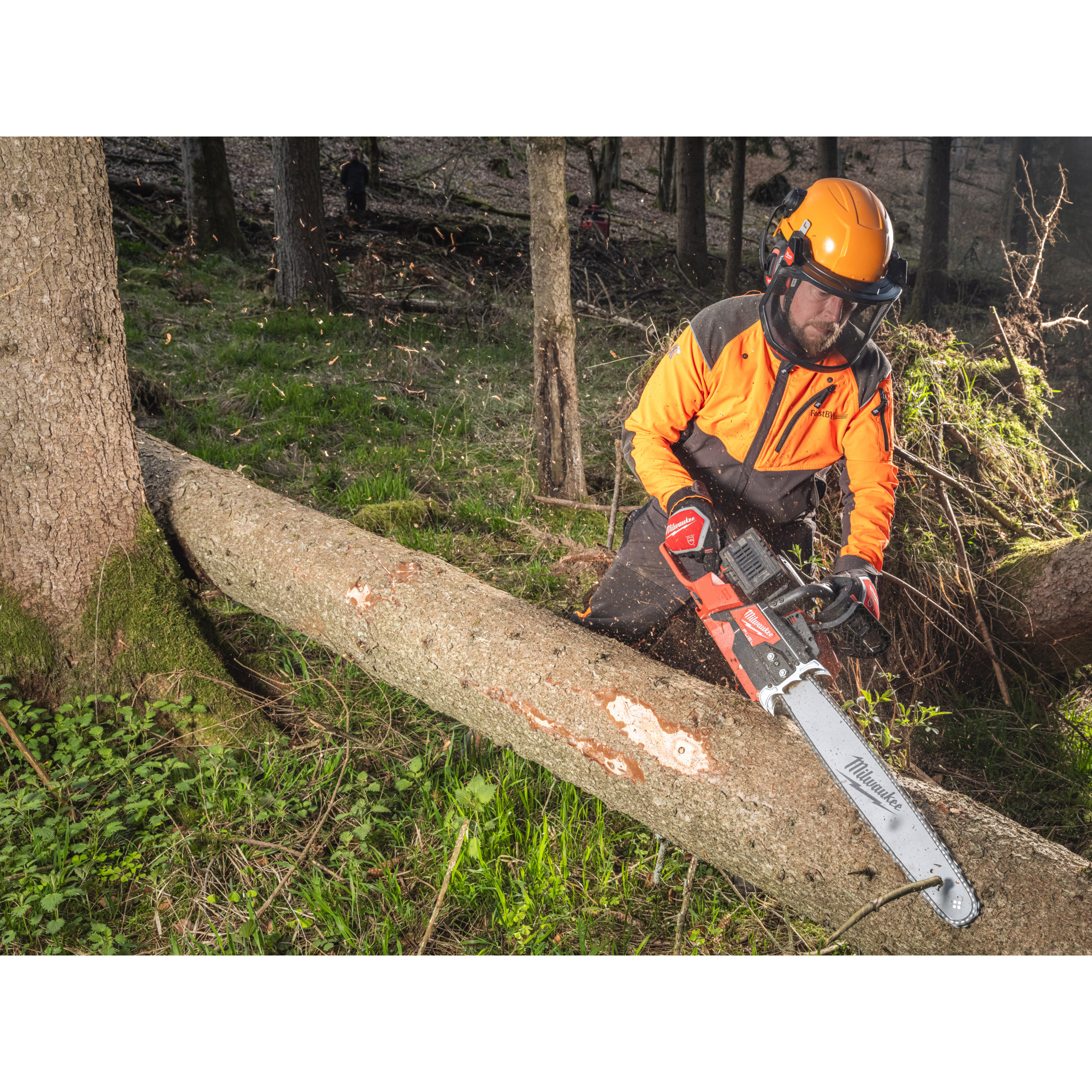 Milwaukee Guanti per Motosega MOD. Chain SAW Gloves TG 8 (M) - MILWAUKEE - Immagine 2