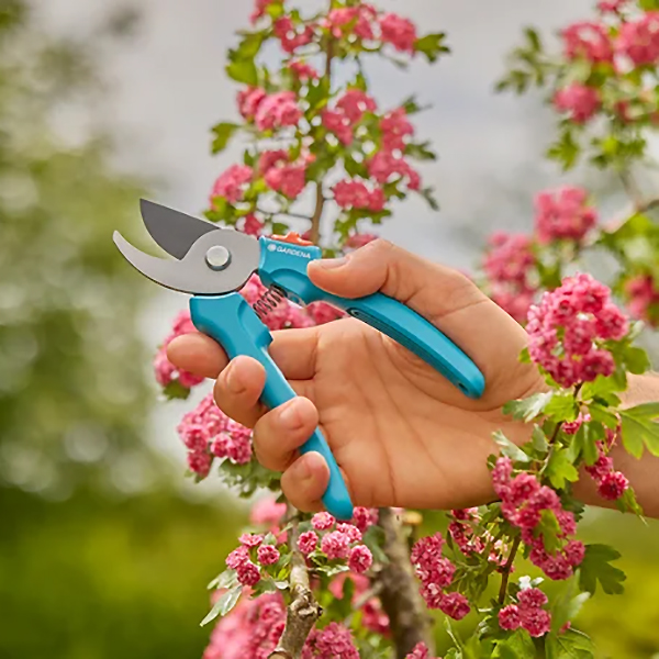 Gardena 12230 Forbici da Giardino Easycut - GARDENA - Immagine 5