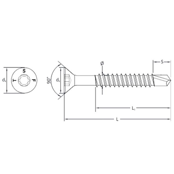 Tecfi Vite Autoperforante Testa Svasata Piana (TSP) TORX Zincata Bianca ART.RH01 - TECFI - Immagine 2
