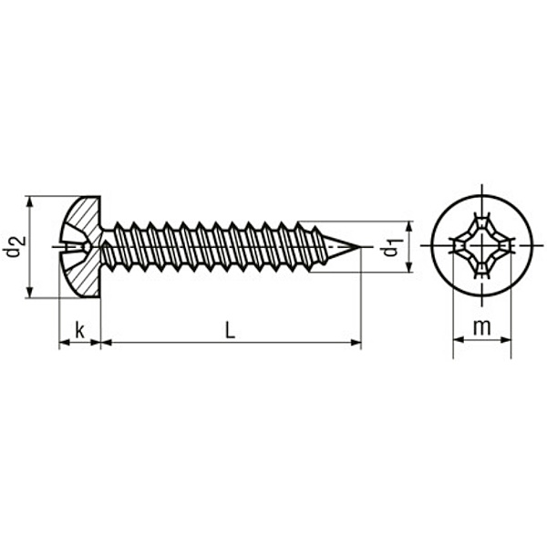 Vite Autofilettante Testa Cilindrica (TC) a Croce PH Zincata Nera UNI 6954 - RENAUDO PRO - Immagine 2
