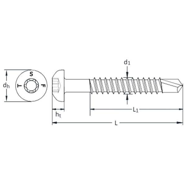 Tecfi Vite Autoperforante Testa Cilindrica (TC) TORX Zincata Bianca ART. RK01 - TECFI - Immagine 2
